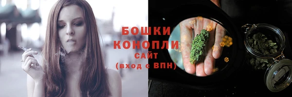 PSILOCYBIN Аркадак