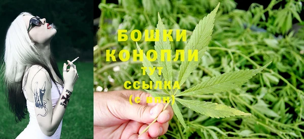 PSILOCYBIN Аркадак