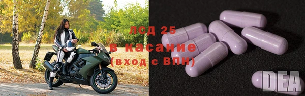 PSILOCYBIN Аркадак